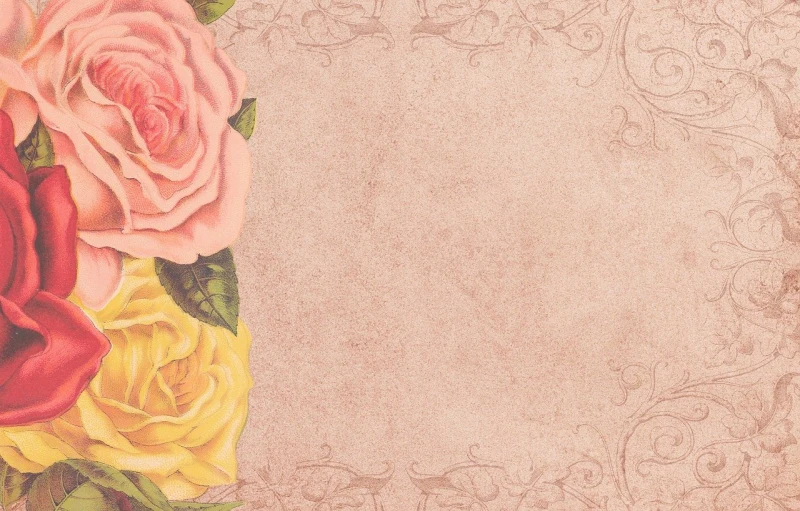 a close up of a bunch of flowers on a paper, a pastel, inspired by Pierre-Joseph Redouté, trending on pixabay, romanticism, ornate border frame, yellow rose, dull pink background, background image