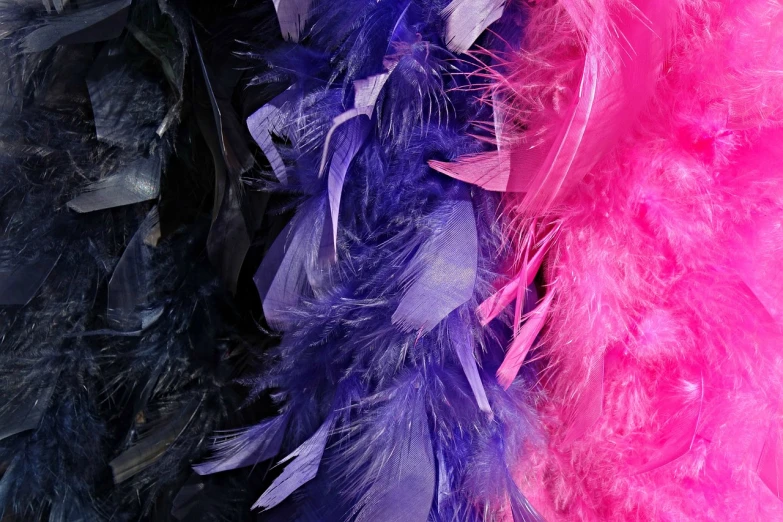 a close up of a bunch of feathers, inspired by Bernd Fasching, plasticien, purple and pink, decorative dark blue clothing, backroom background, close-up product photo