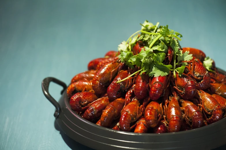 a close up of a plate of food on a table, a stock photo, hurufiyya, flying beetles, korean, very crisp, brazilian