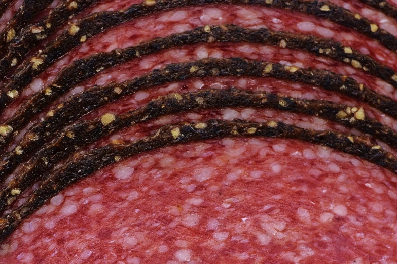 sliced sausage sitting on top of a cutting board, by Jan Rustem, black lung detail, granular detail, filigrane, crisp photo