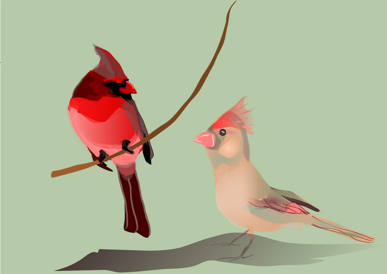 a couple of birds sitting on top of a tree branch, an illustration of, inspired by Paul Bird, pixabay contest winner, renaissance, ethereal cardinal bird, wikihow illustration, parents watching, !!! very coherent!!! vector art