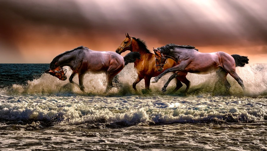 a couple of horses that are running in the water, a digital rendering, pixabay contest winner, four horsemen of the apocalypse, 👰 🏇 ❌ 🍃, beaching, exquisitely detailed