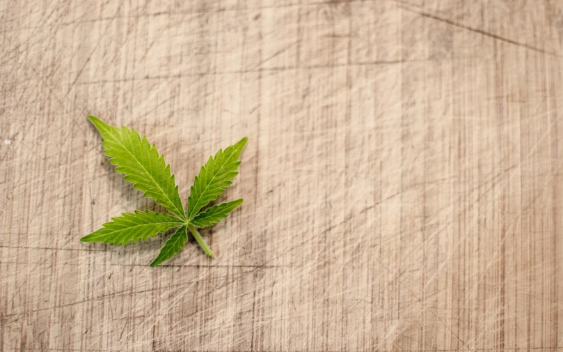 a marijuana leaf sitting on top of a wooden table, a stock photo, inspired by Mary Jane Begin, seen from above, wallpaper!, seventies, recipe