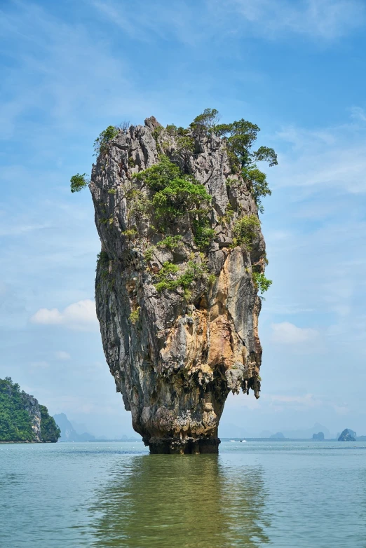 a large rock in the middle of a body of water, a detailed matte painting, by Richard Carline, shutterstock, thailand, tall tree, slender symmetrical face, high detailed thin stalagtites