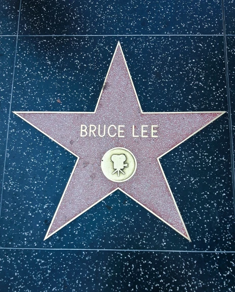 a star on the hollywood walk of fame, inspired by Bruce Gilden, simon lee, rice, he is about 7 0 years old, bryan lee o'malley