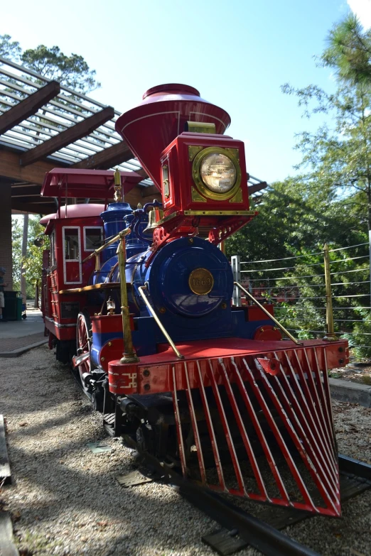 a red and blue train sitting on the tracks, a portrait, animal kingdom, usa-sep 20, vacation photo