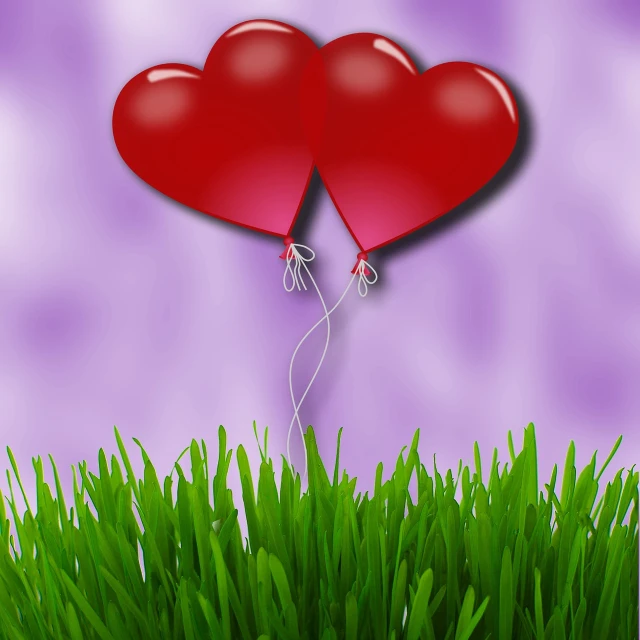 a couple of red balloons sitting on top of a lush green field, a digital rendering, romanticism, entwined hearts and spades, background is purple, nature photo, watch photo