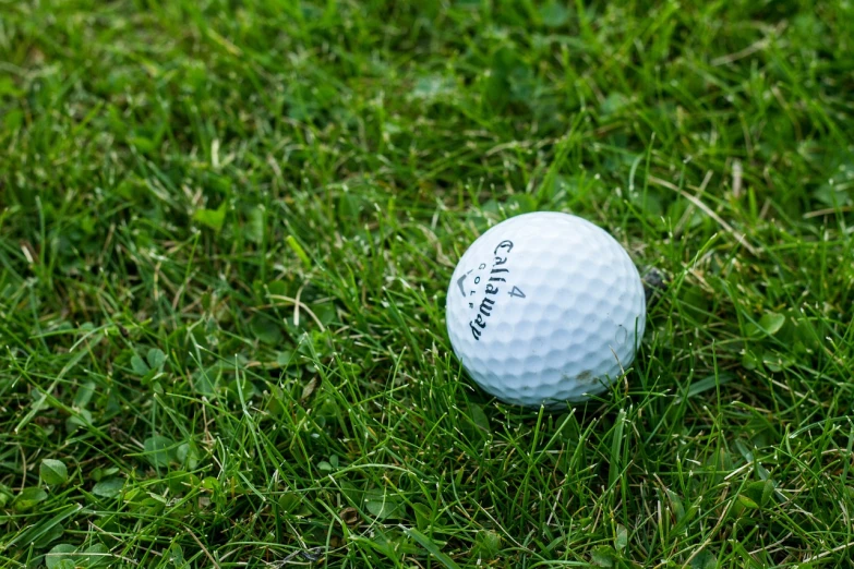 a golf ball sitting on top of a lush green field, a picture, by Arnie Swekel, pixabay, avatar image, half length shot, white, tiffany dover