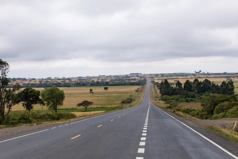 an empty road stretches into the distance on a cloudy day, by Hugo Heyrman, flickr, mongezi ncaphayi, vast wheat fields, wide frontal view, highways