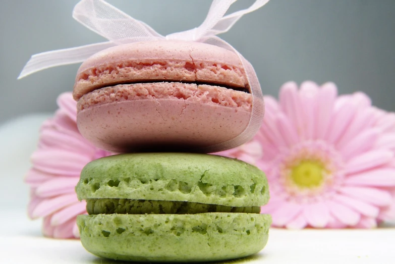 three macarons stacked on top of each other, by Dietmar Damerau, flickr, romanticism, pink and green, flower, wallpaper - 1 0 2 4, small