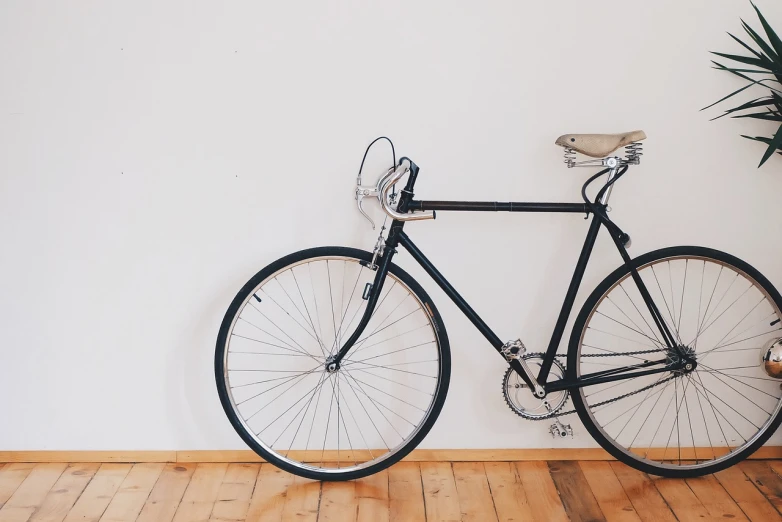 a bicycle leaning against a wall next to a potted plant, a picture, minimalism, wallpaper - 1 0 2 4, indoors, an instrument, 🎨🖌