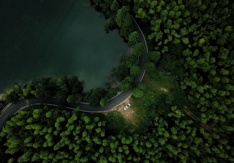 a bird's eye view of a winding road next to a body of water, by Cheng Jiasui, in the middle of dark forest, an extremely high quality hd, bird\'s eye view, wide shot!!!!!!