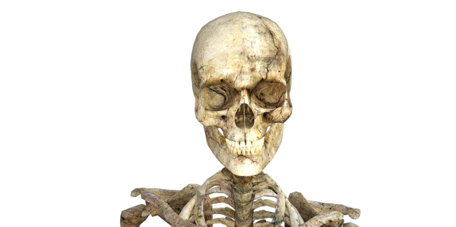 a skeleton sitting on top of a pile of bones, a digital rendering, renaissance, realistic restored face, very old, highly detailed barlowe 8 k, emaciated shaved face