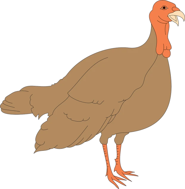a turkey standing in front of a black background, an illustration of, hurufiyya, cartoon style illustration, untextured, thick outline, full color illustration