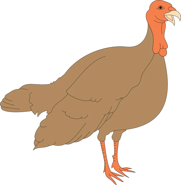 a turkey standing in front of a black background, an illustration of, hurufiyya, cartoon style illustration, untextured, thick outline, full color illustration