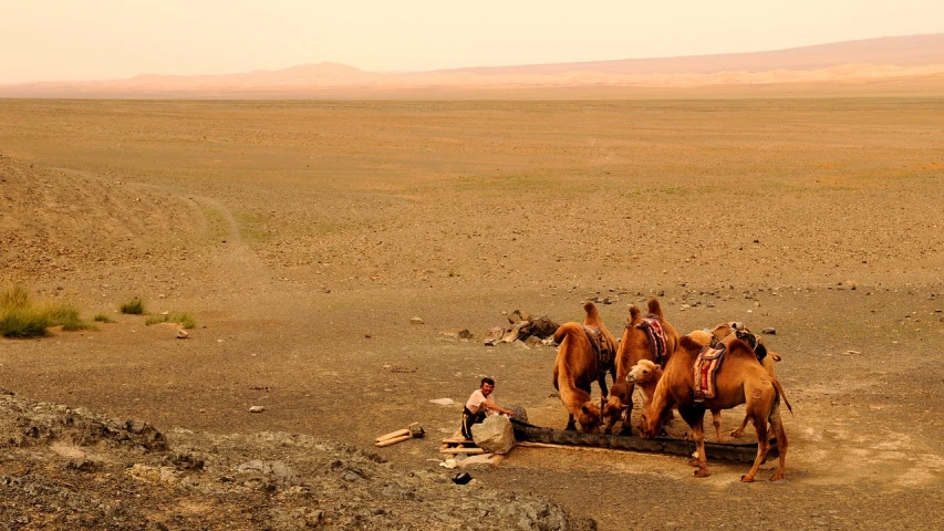 a group of horses that are standing in the dirt, inspired by Scarlett Hooft Graafland, flickr, sitting on a martian rock, standing next to a camel, relaxing after a hard day, ancient mongolian elon musk