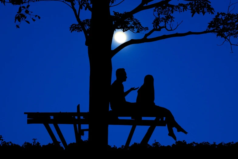 a man and a woman sitting on a bench under a tree, by Ken Elias, pixabay, romanticism, blue moonlight, silhouette!!!, flirting, picnic