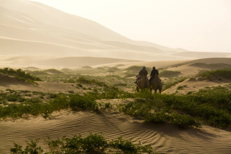 a couple of people riding on the backs of horses, flickr, fine art, background sand dunes, lush oasis, natural geographic photography, early morning