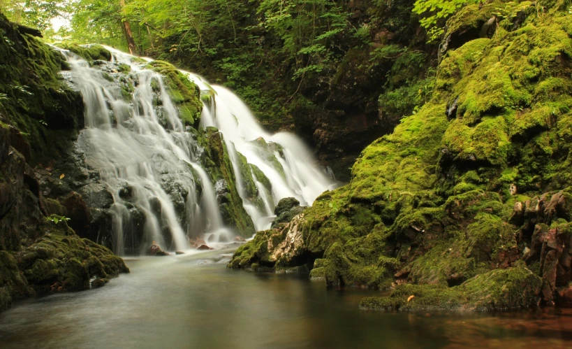 a waterfall in the middle of a lush green forest, a picture, by Robert Griffier, shutterstock, new hampshire, closeup 4k, 3 / 4 extra - wide shot, tochigi prefecture