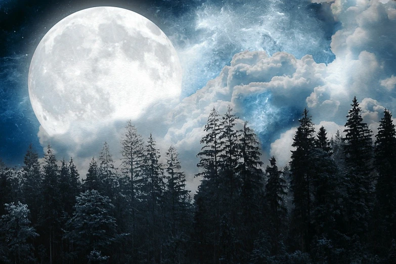 an image of a full moon in the night sky, a matte painting, by Eugeniusz Zak, shutterstock, coniferous forest, the cloudy moonlit sky, icy cold pale silent atmosphere, dark forests surrounding