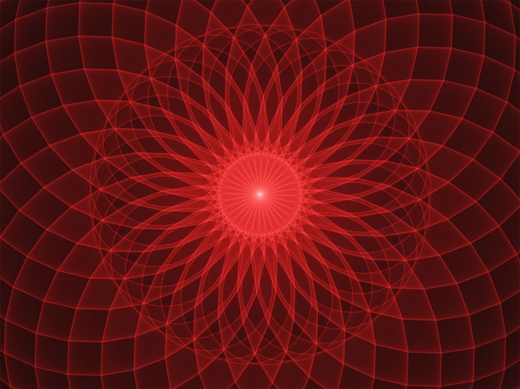 a computer generated image of a red flower, inspired by Alex Grey, abstract illusionism, round background, smooth vector lines, sunlight, subtle