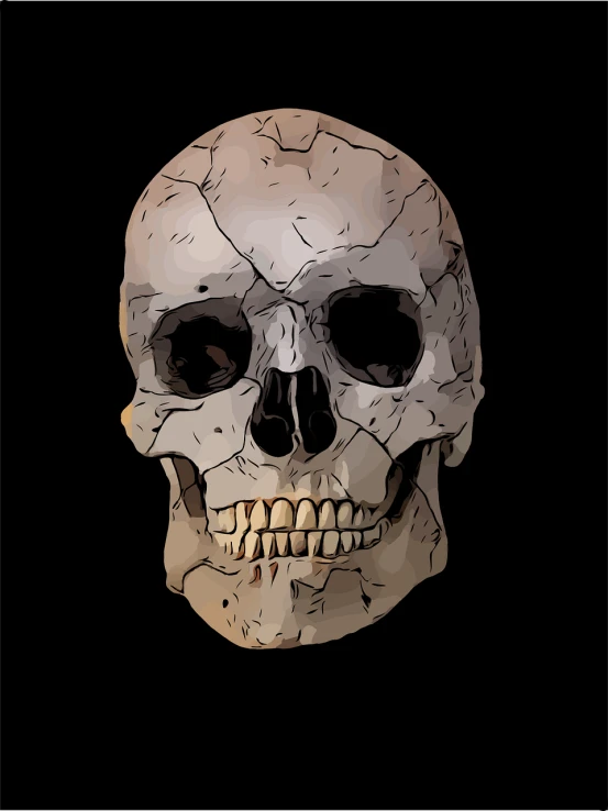 a close up of a skull on a black background, digital art, detailed vector, neanderthal people, full color illustration, higher detailed illustration