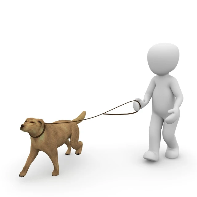 a person walking a dog on a leash, a picture, trending on pixabay, 3d animated, computer generated, operation, pulling strings