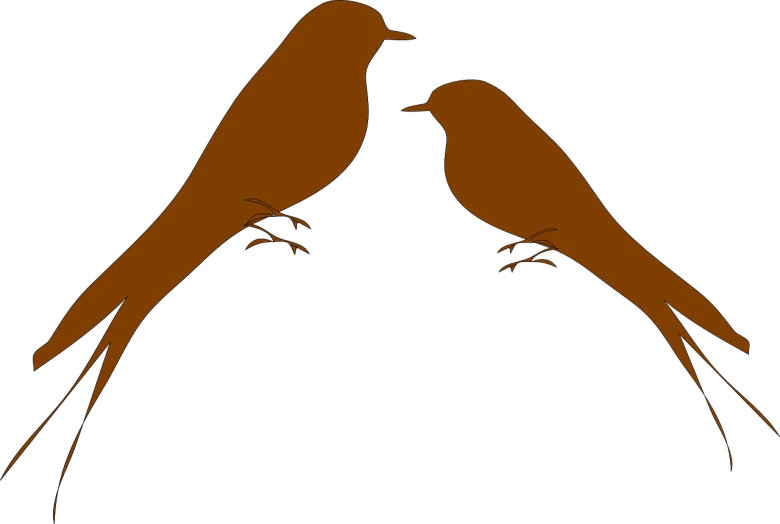 a couple of birds sitting on top of each other, an illustration of, inspired by Masamitsu Ōta, pixabay, brown, outlined silhouettes, style of titmouse animation, bird\'s eye view