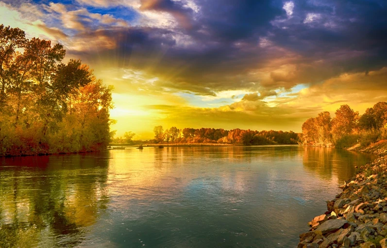 a large body of water surrounded by trees, a picture, shutterstock, romanticism, autumn sunset, great river, shiny gold, vibrant setting