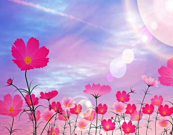 a field of pink flowers with the sun in the background, a digital rendering, inspired by Johan Jongkind, cosmos, flowers and stems, 4 k hd wallpaper illustration, on a bright day