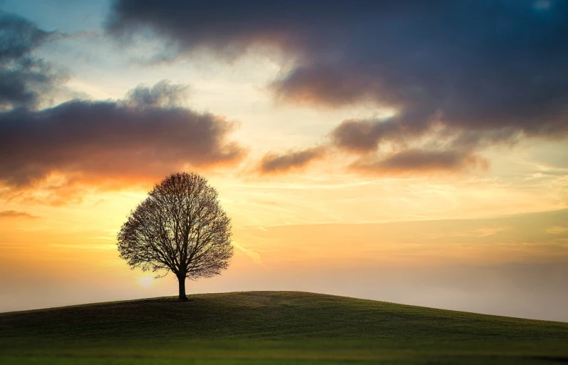 a lone tree sitting on top of a lush green hillside, a picture, by Matthias Weischer, unsplash contest winner, sunset with cloudy skies, beautiful sunset glow, amazing simple composition, tree of life