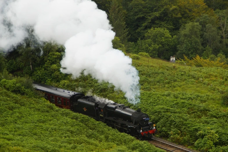 a large long train on a steel track, by Dave Allsop, smoke - filled ， green hill, scottish style, amongst foliage, profile picture 1024px