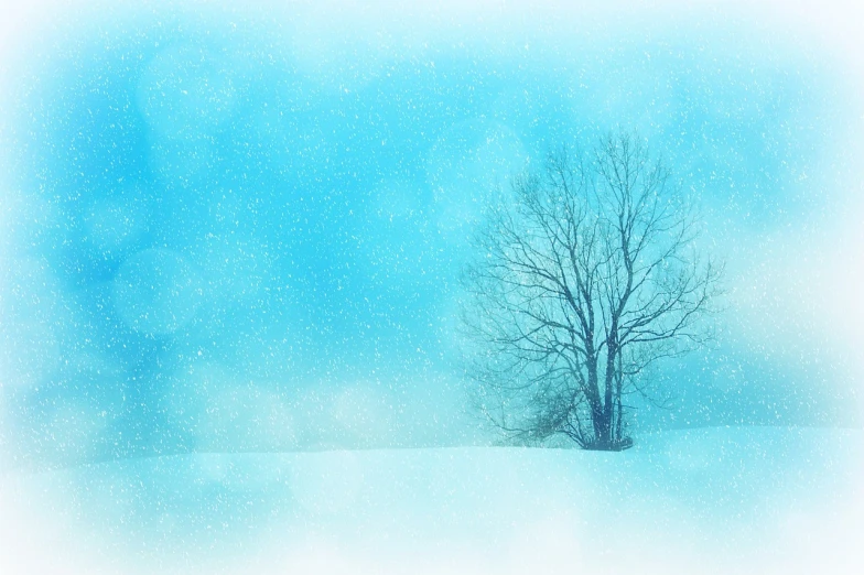 a lone tree in the middle of a snow covered field, a picture, trending on pixabay, minimalism, blue ground. fantasy, snow blizzard in woodland meadow, random background scene, highkey
