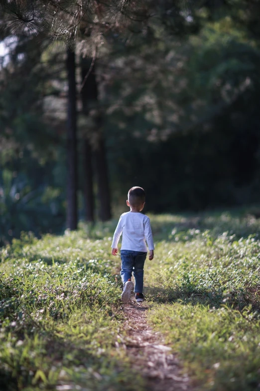 a little boy that is walking in the grass, pexels, process art, in deep forest jungle, beautiful natural backlight, jinyiwei, sunny afternoon
