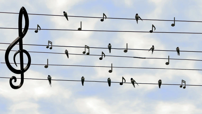 a flock of birds sitting on top of a power line, an album cover, by Paul Bird, trending on pixabay, precisionism, musical notes, sheet music, hey, illustration!
