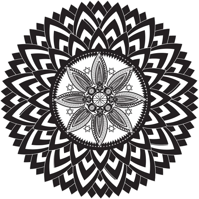 a black and white flower on a black background, vector art, inspired by Ivan Meštrović, psychedelic art, mandala ornament, circle design, detailed designs, intricate details illustration