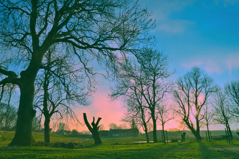 a group of trees sitting on top of a lush green field, inspired by Caspar David Friedrich, romanticism, colorful sunset!!, pink shadows, in a park on a alien planet, winter vibrancy