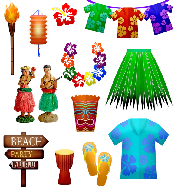 a collection of hawaiian items on a black background, an illustration of, process art, beach party, in clothes! highly detailed, chinese costume, lights