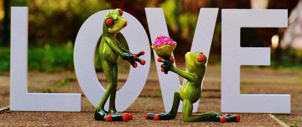 a couple of frogs standing next to a love sign, a picture, by Valentine Hugo, pixabay, holding flowers, full body close-up shot, aaaaaaaaaaaaaaaaaaaaaa, instagram picture