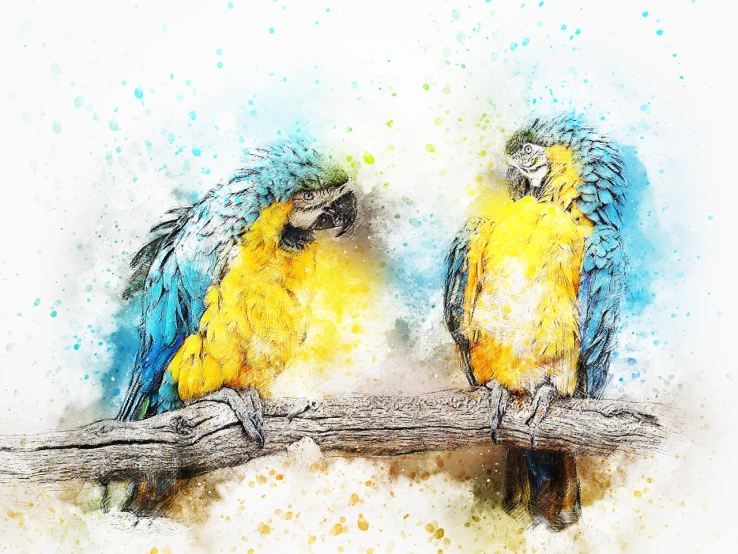 a watercolor painting of two parrots sitting on a branch, a watercolor painting, fine art, background yellow and blue, mixed media style illustration, digital art animal photo, high detail illustration