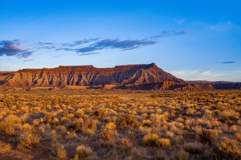 a desert landscape with a mountain in the distance, a picture, by Jeffrey Smith, shutterstock, moab, early evening, grass mountain landscape, cliffs