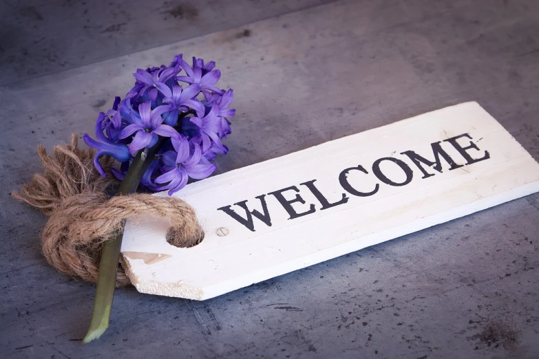 a welcome sign sitting next to a purple flower, a picture, shutterstock, folk art, hyacinth, full length shot, whites, warm