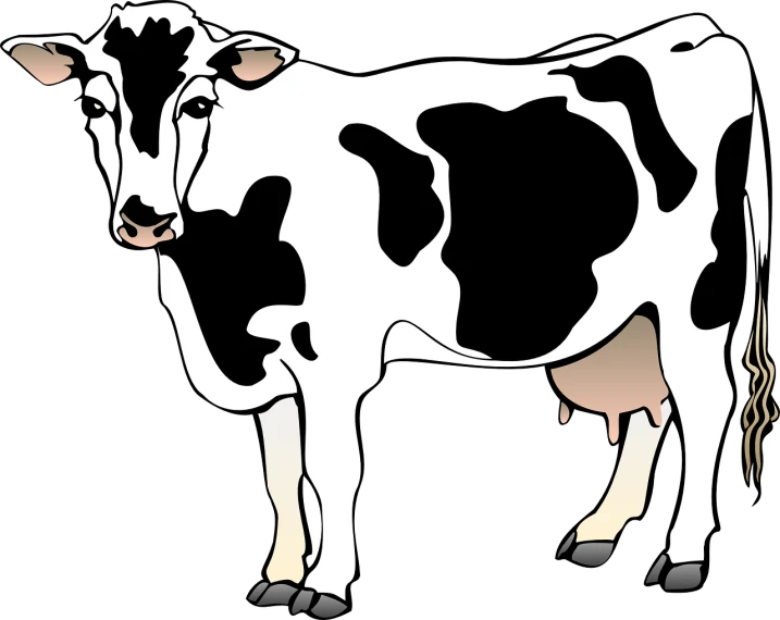 a black and white cow on a black background, a digital rendering, pixabay, conceptual art, thick outline, a brightly colored, calico, milkman