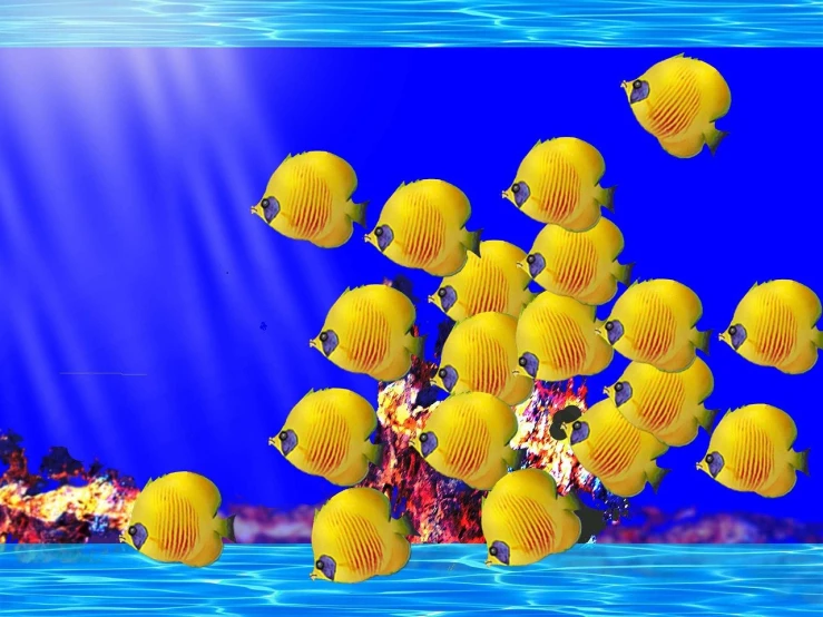 a group of yellow fish swimming in a blue ocean, pixabay, computer art, sink ( ( ( fish tank ) ) ) ) ), pc screen image, yellow butterflies, vivid colors!!
