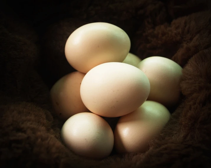 a pile of eggs sitting on top of a brown blanket, a pastel, by Adam Chmielowski, flickr, soft natural volumetric lighting, intense albino, mid shot photo, stock photo