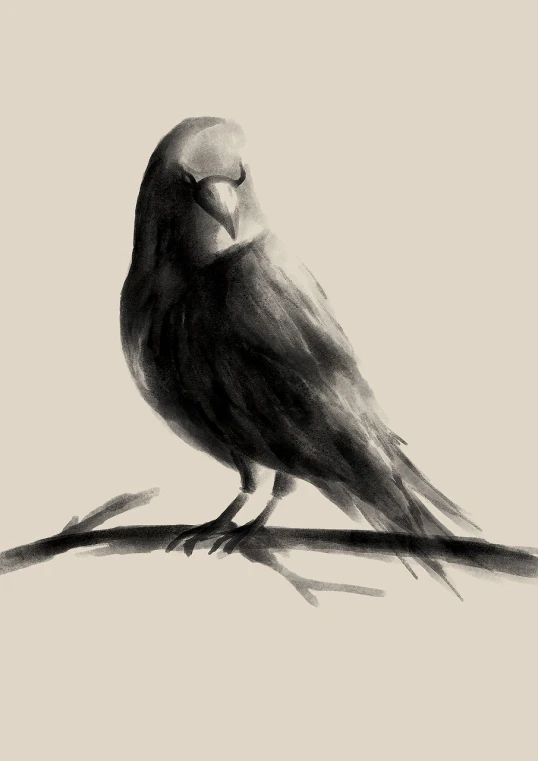 a black and white drawing of a bird on a branch, a pastel, inspired by Gonzalo Endara Crow, tumblr, tonalism illustration, beautiful brush stroke rendering, a beautiful artwork illustration, sepia toned