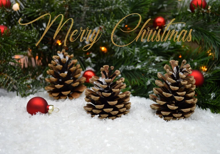 a group of pine cones sitting next to a christmas tree, a picture, merry, background image, -h 1024, snowy background