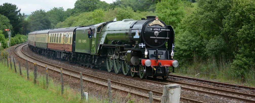 a train traveling down train tracks next to a forest, a portrait, by Kev Walker, pixabay, renaissance, panavia tornado replica, green and black color scheme, queen elizabeth, it has six thrusters in the back