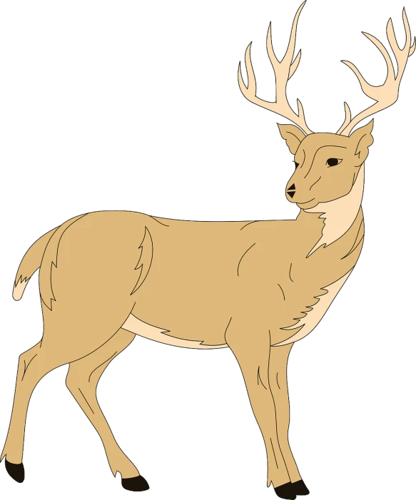 a deer standing in front of a white background, an illustration of, clean lineart and color, looking away from viewer, colored in, 3/4 side view