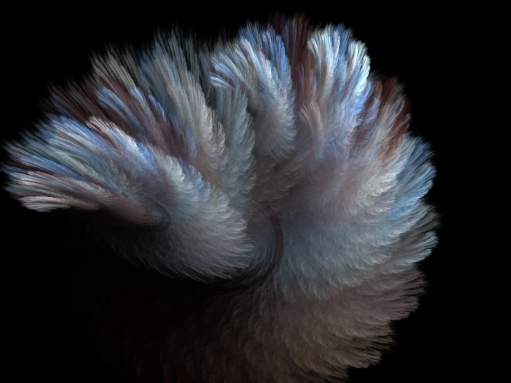 a close up of a feather on a black background, digital art, inspired by Benoit B. Mandelbrot, generative art, volumetric clouds, swirling paint colors, infinite angel wings, muted colours 8 k